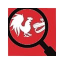 RT Video Finder screen for extension Chrome web store in OffiDocs Chromium